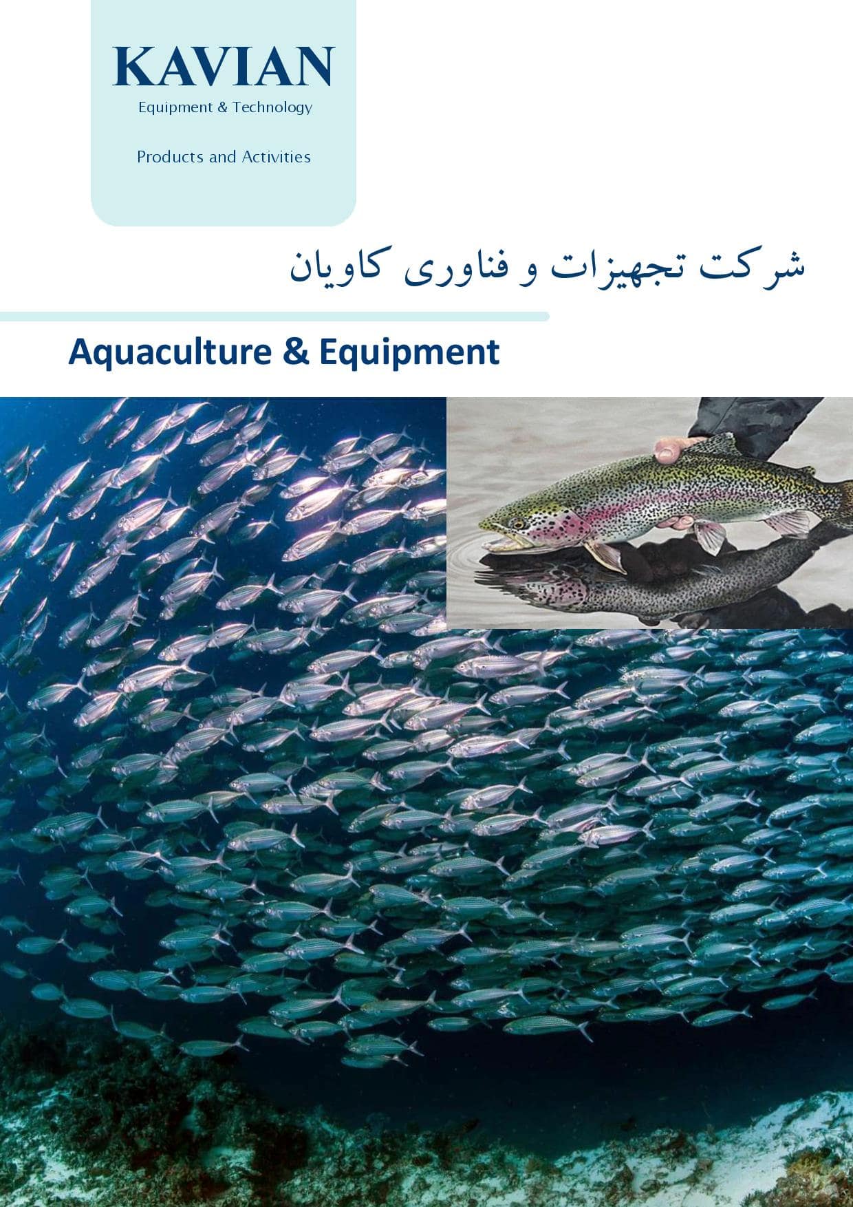 کاتالوگ های پرورش ماهی کاویان